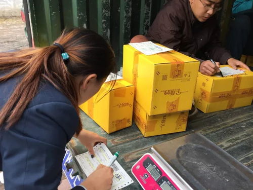 電商賦能太行百歲品牌，助力初級農產品收購新篇章