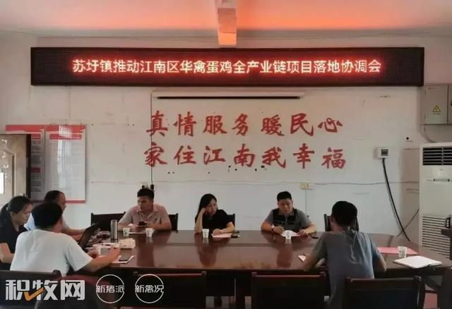 廣西蛋雞養殖產業再添巨擘 可存欄200萬余羽項目開工，推動農副產品銷售新格局