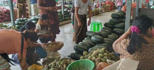 緬甸糧食安全拉響警報(bào) 基礎(chǔ)食品價(jià)格飆升，初級(jí)農(nóng)產(chǎn)品收購體系面臨挑戰(zhàn)